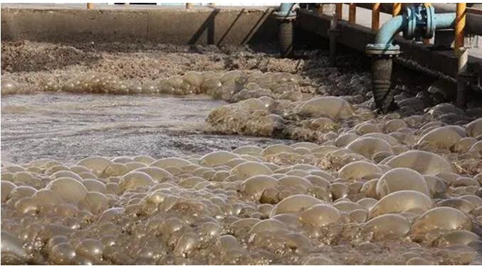 PP���ӡ�(�й�����)���¹ٷ���վ