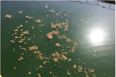 PP���ӡ�(�й�����)���¹ٷ���վ