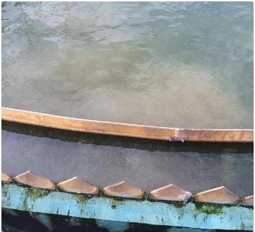 PP���ӡ�(�й�����)���¹ٷ���վ