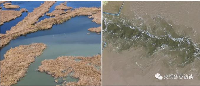 PP���ӡ�(�й�����)���¹ٷ���վ