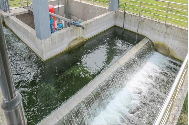 PP���ӡ�(�й�����)���¹ٷ���վ