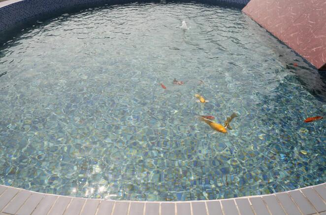 PP���ӡ�(�й�����)���¹ٷ���վ