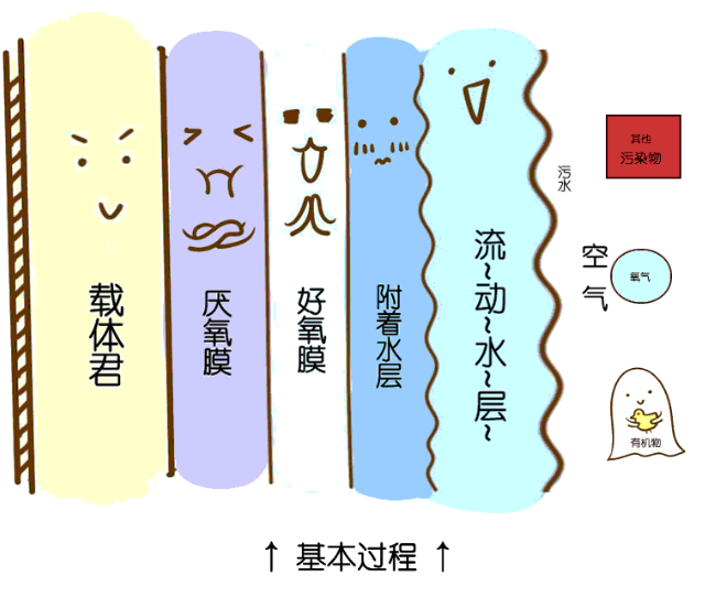 PP���ӡ�(�й�����)���¹ٷ���վ