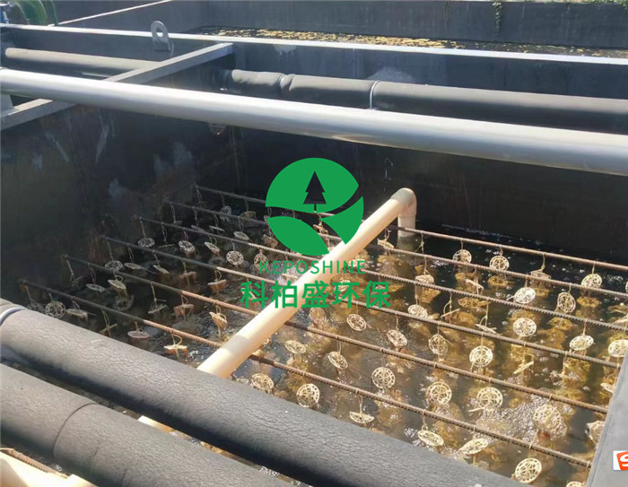 PP���ӡ�(�й�����)���¹ٷ���վ