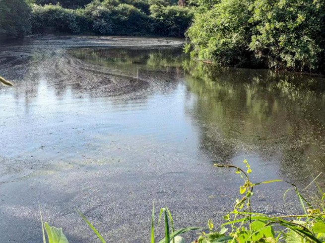 PP���ӡ�(�й�����)���¹ٷ���վ