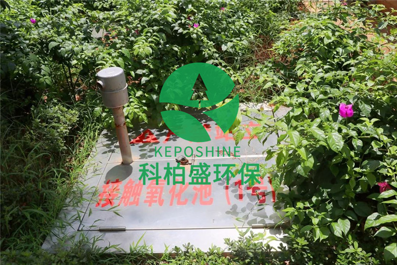 PP���ӡ�(�й�����)���¹ٷ���վ