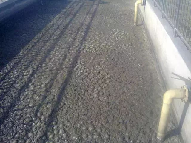 PP���ӡ�(�й�����)���¹ٷ���վ